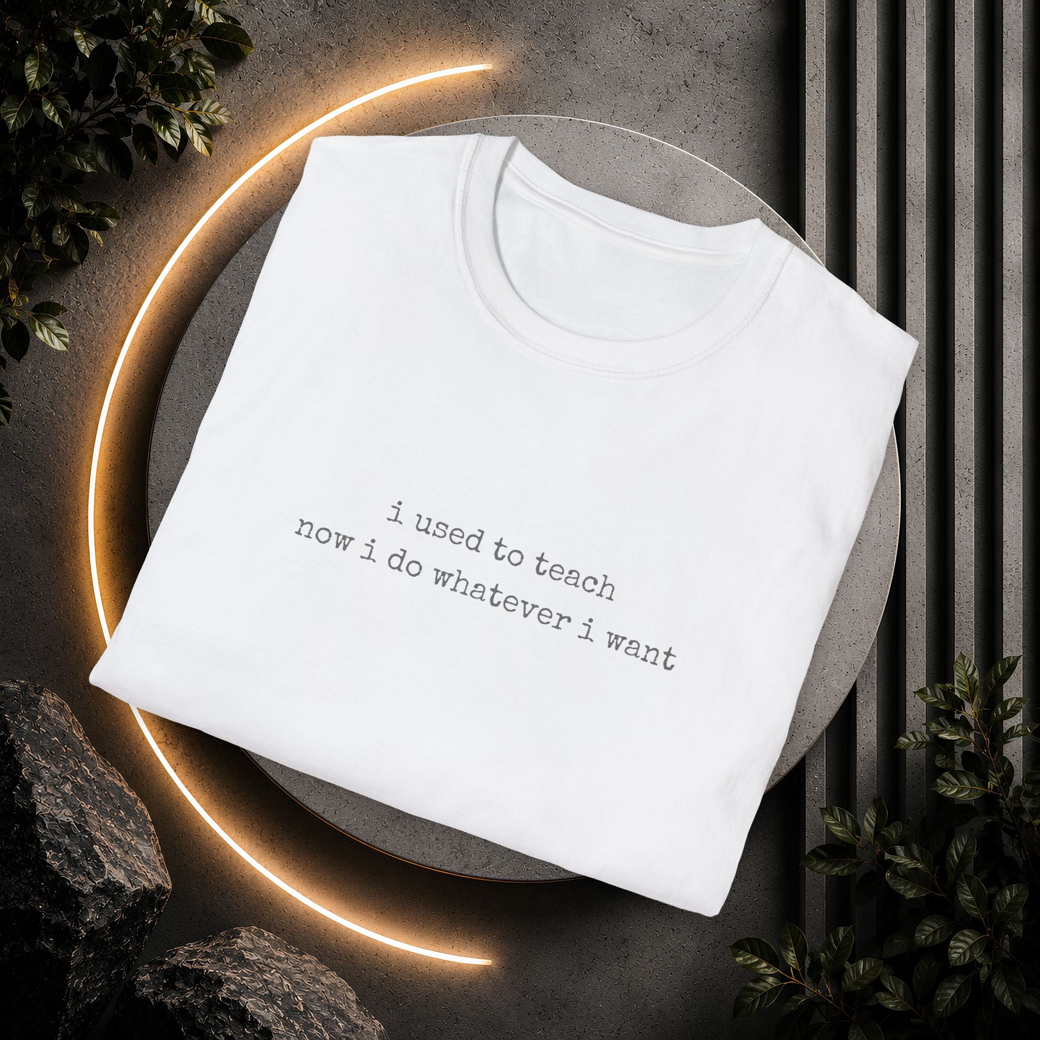 I Used to Teach T-Shirt | Minimal Slogan Tee