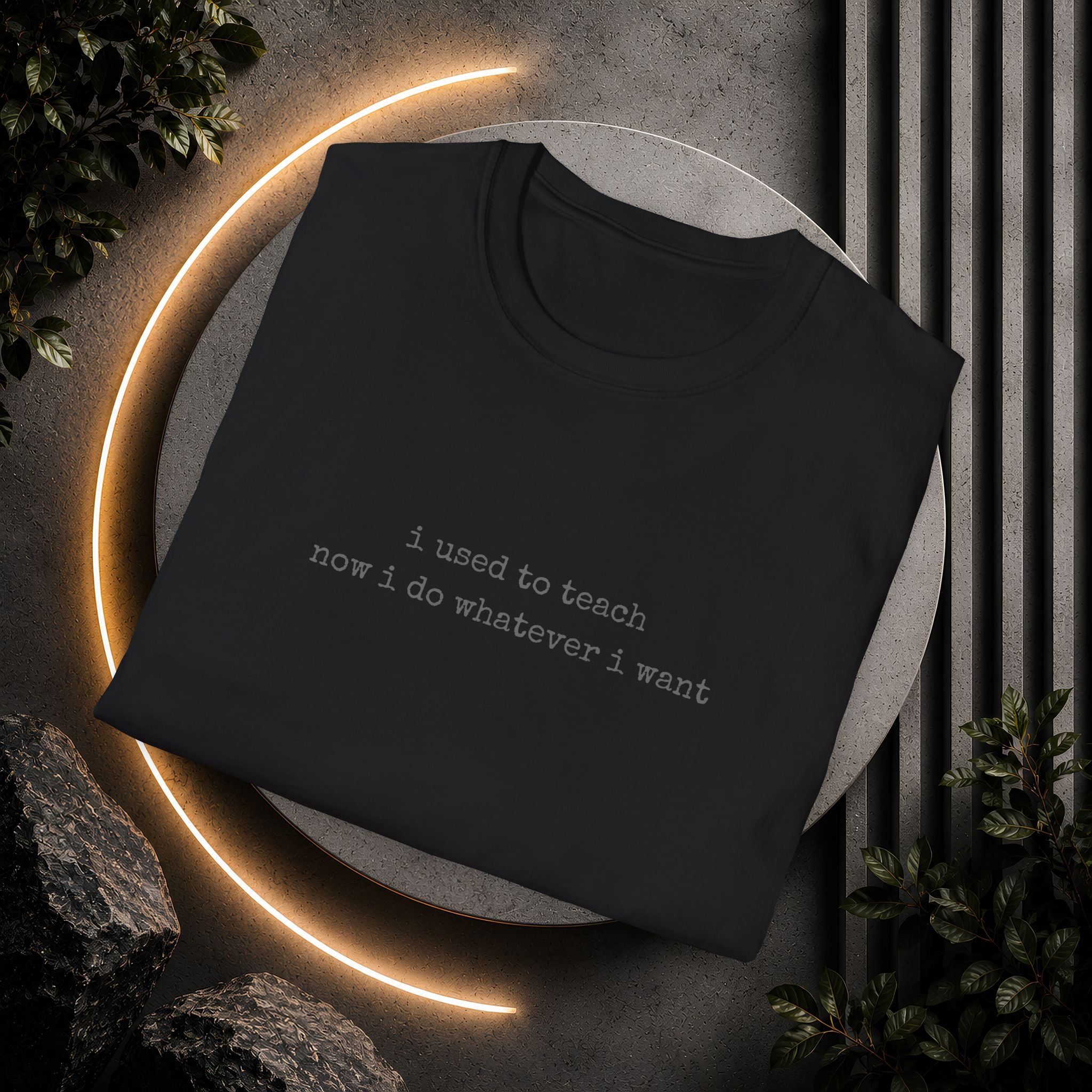 I Used to Teach T-Shirt | Minimal Slogan Tee